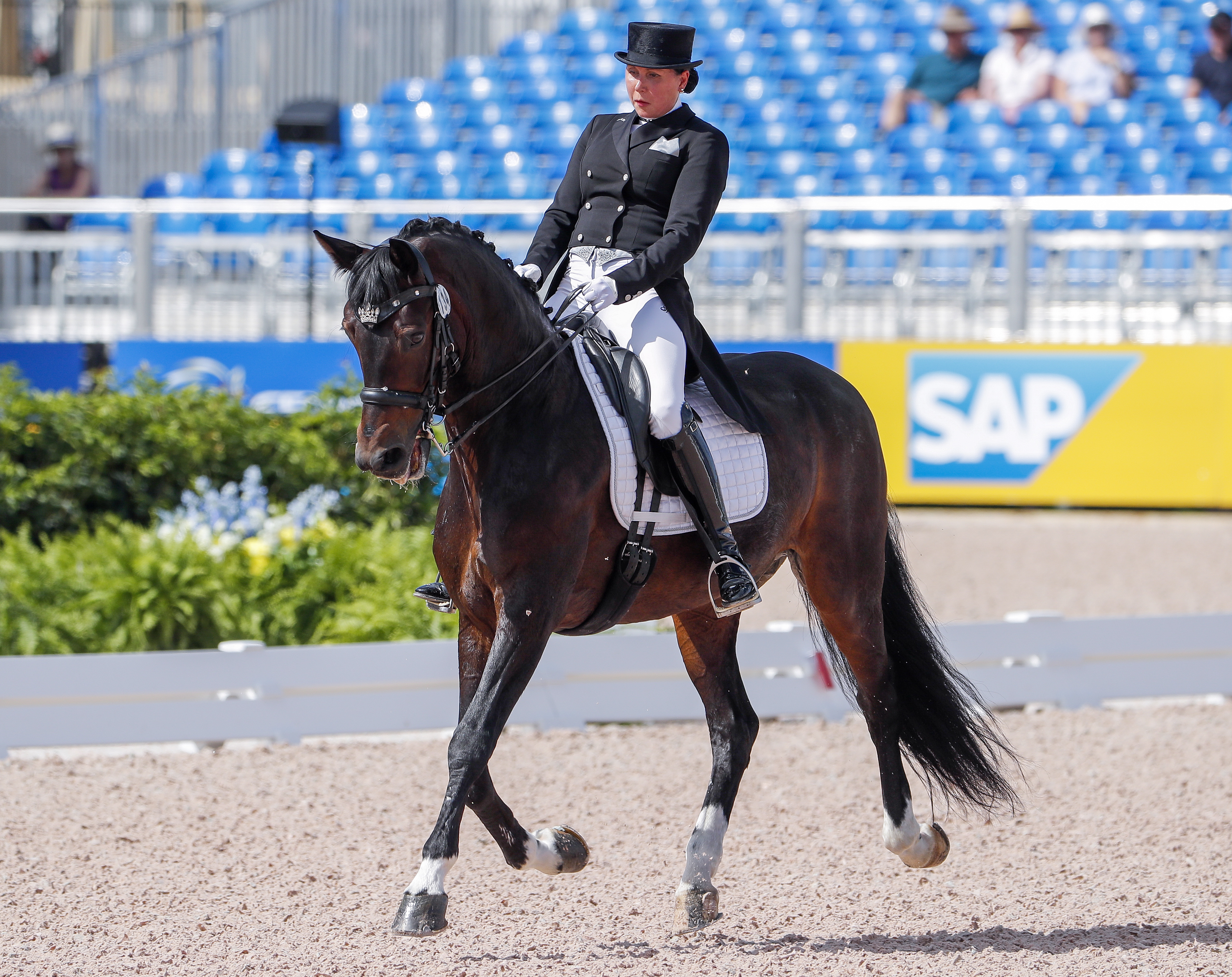 马术比赛中德国选手身姿优雅 马术比赛中德国选手身姿优雅