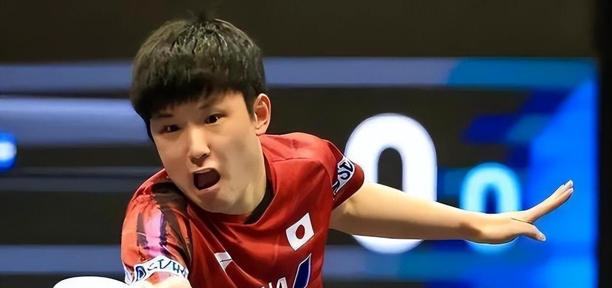 法国队力克奥地利队,张本智和状态火热的简单介绍 法国队力克奥地利队,张本智和状态火热的简单介绍