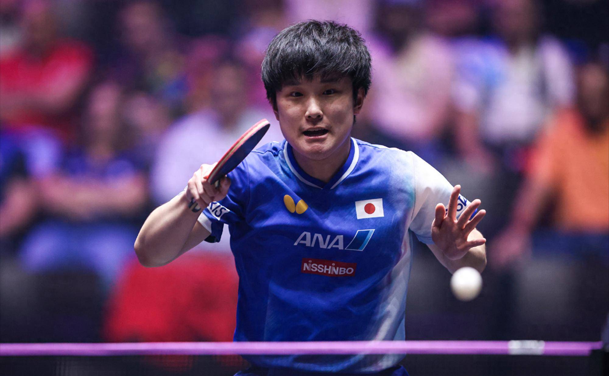 法国队力克奥地利队,张本智和状态火热的简单介绍 法国队力克奥地利队,张本智和状态火热的简单介绍