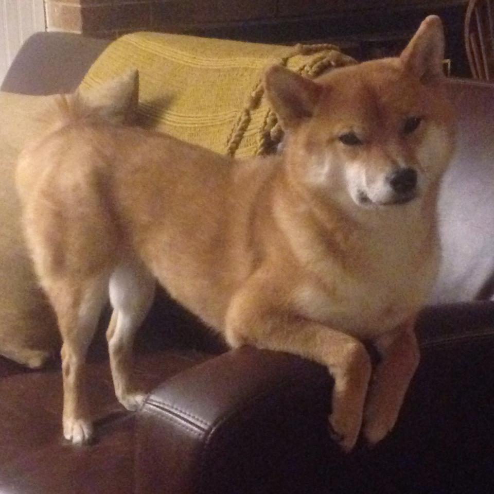 双线传奇，马克西在NBA绝杀与欧冠接管之夜