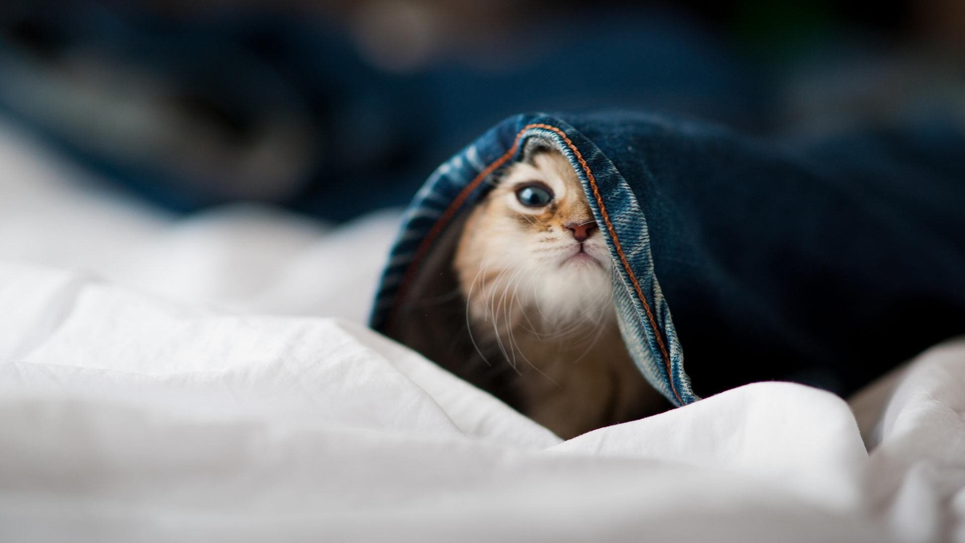 1988 vs 2024,两场奥运钥匙之争,马赛提前锁定巴黎入场券