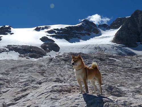 跨洋对决,广厦队压哨绝杀马刺,杜兰特统治级数据闪耀