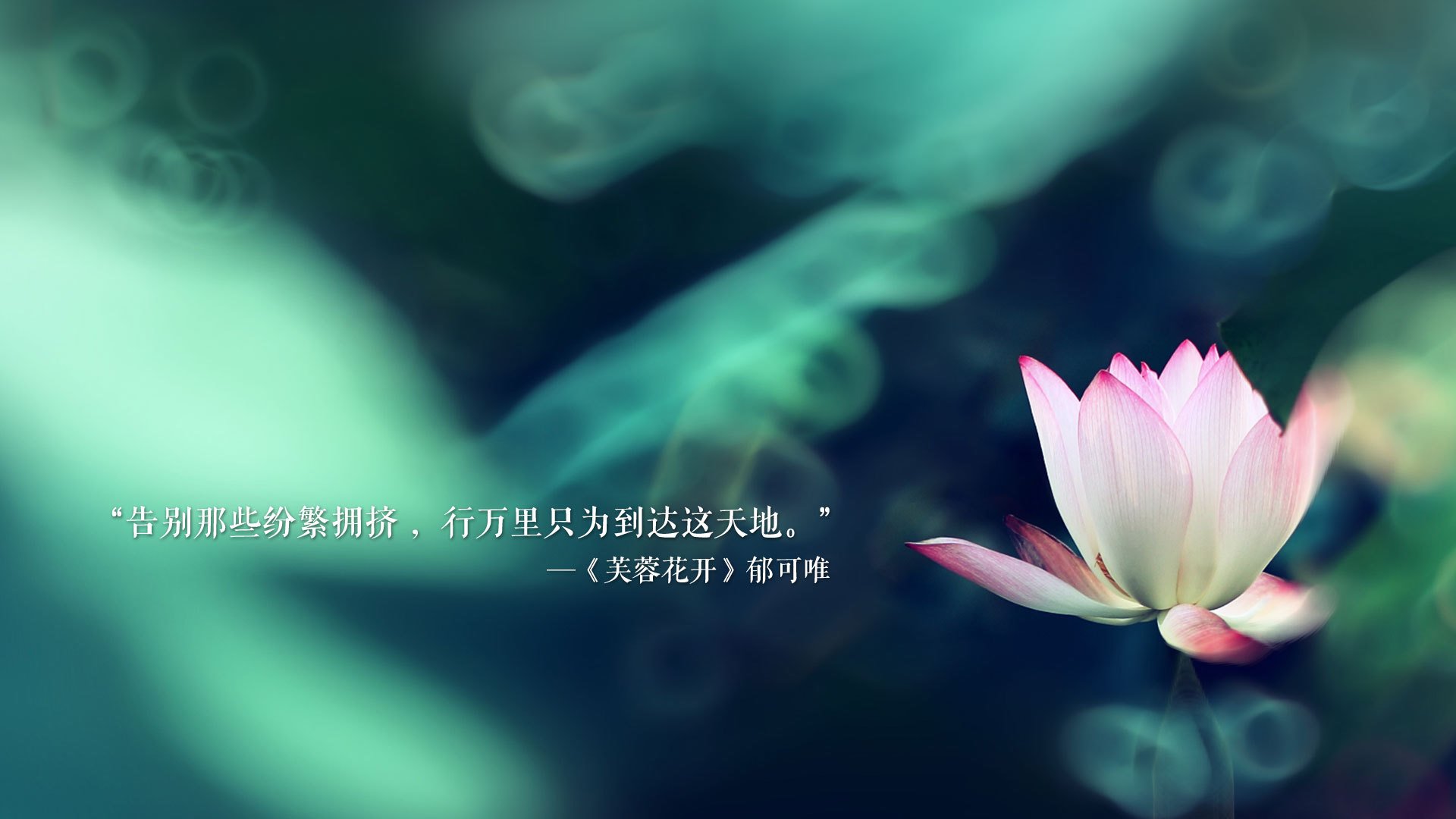 爵士对阵独行侠,詹姆斯表现堪称教科书,诠释何谓王者掌控力