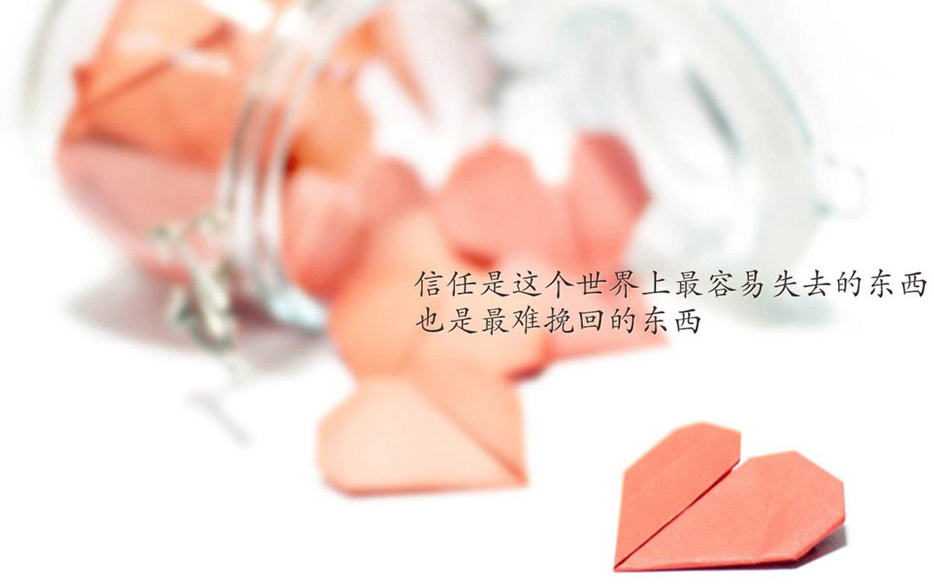 蓝白风暴席卷北美,乌拉圭的控球哲学,在2026世界杯F组写下唯一剧本