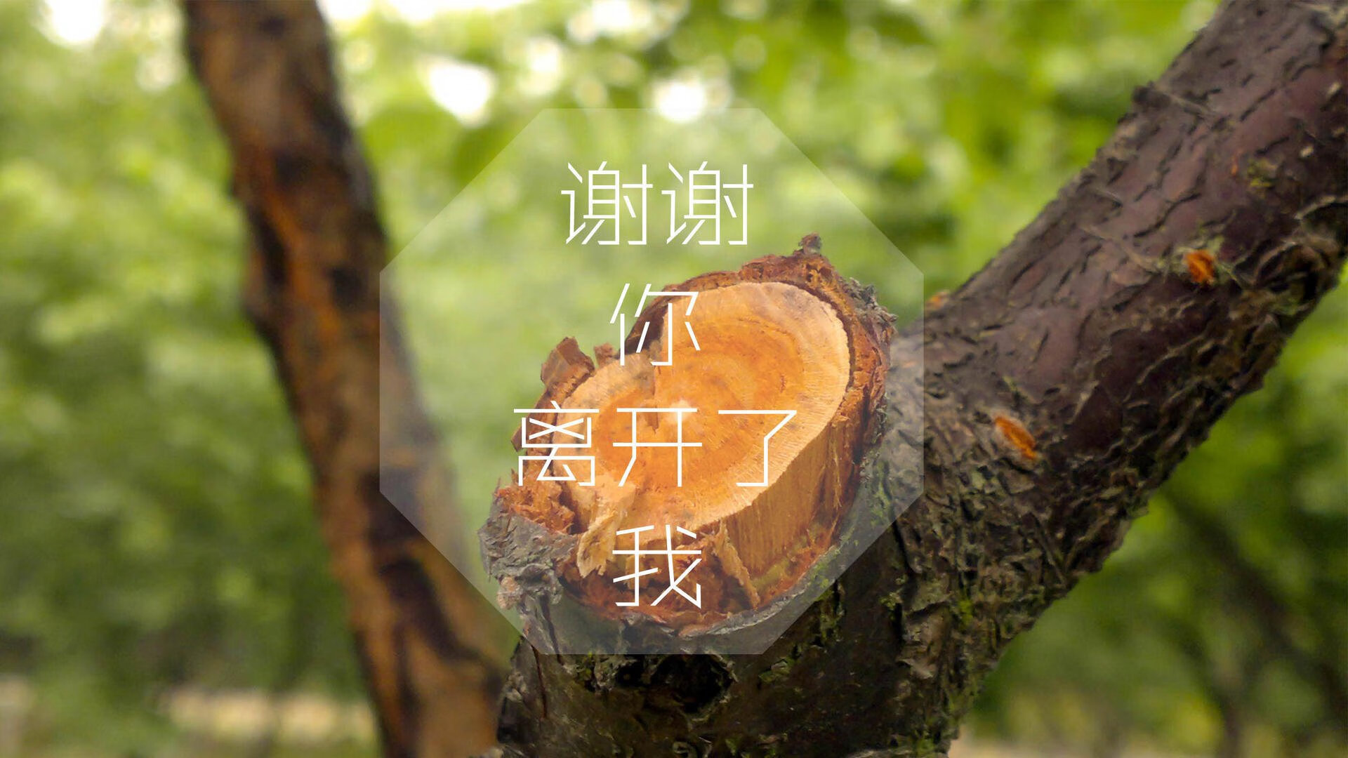 当蓝武士撕碎欧陆防线，2026世界杯G组，一场被载入史册的逆转美学